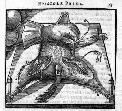 Tranh minh hoạ triết gia René Descartes bên các dụng cụ mổ xẻ, biểu trưng quan niệm coi thiên nhiên và động vật như một cỗ máy