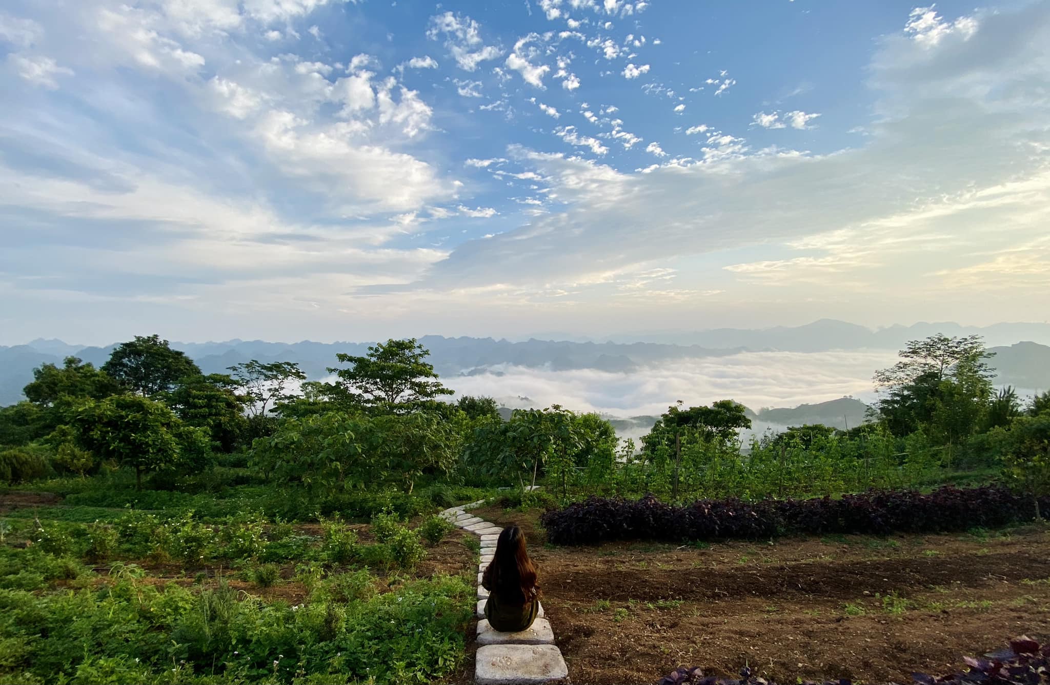 My wife sat in front of a sea of clouds in Skyline Farmstay 